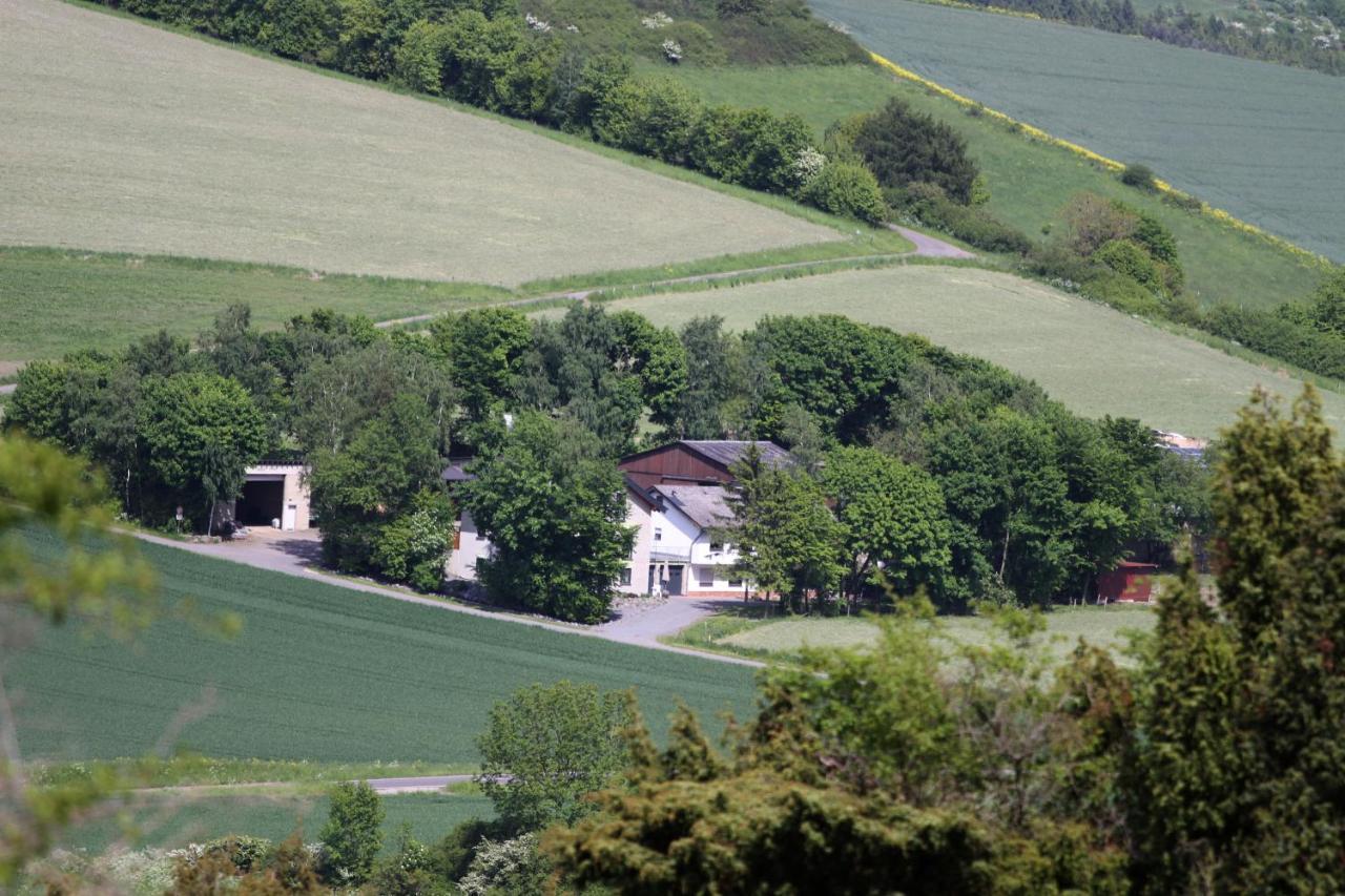 Heideblick Volkesfeld