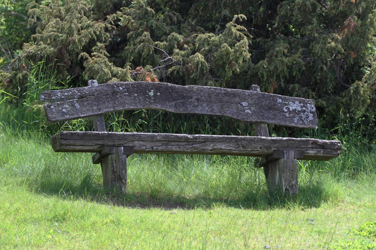 Heideblick
